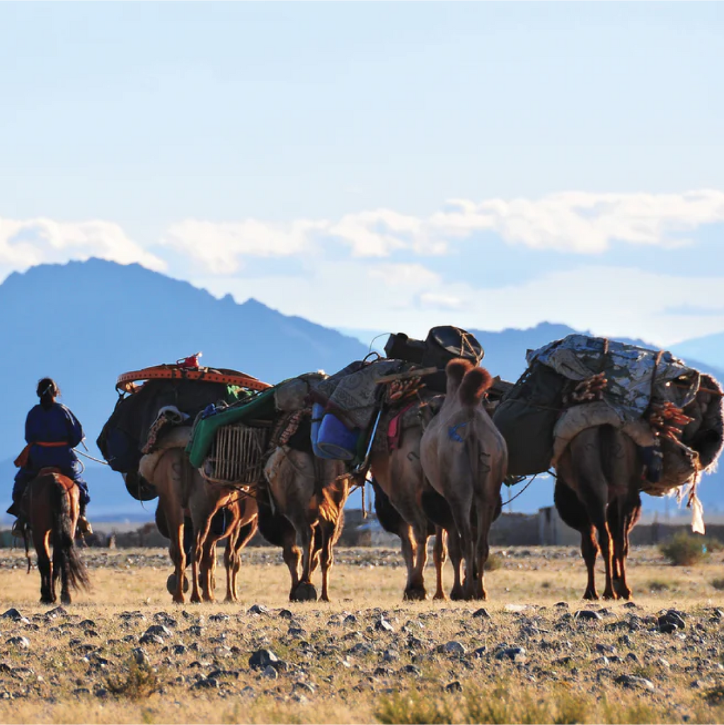 Buddhism and Nomads Along the Caravan Road | with Saglar Bougdaeva