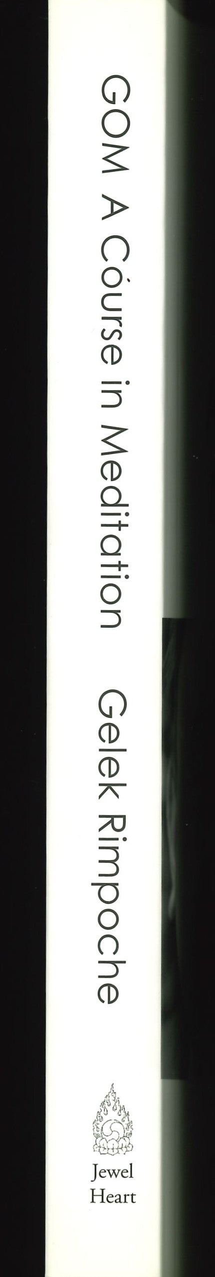 GOM A Course in Meditation image 3