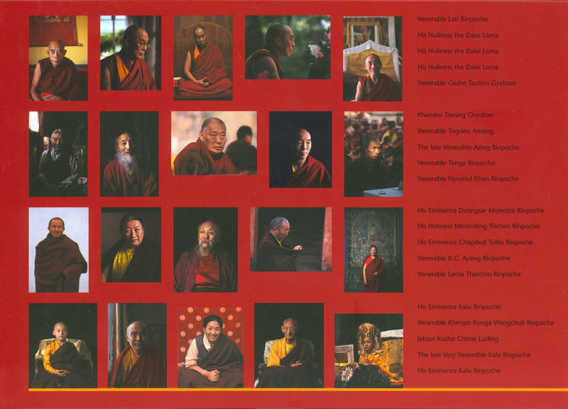 When the Light Shines Through: Portraits of Tibetan masters image 2