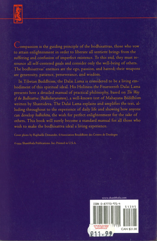 Flash of Lightning in the Dark of Night: A Guide to the Bodhisattva's Way of Life Paperback image 2