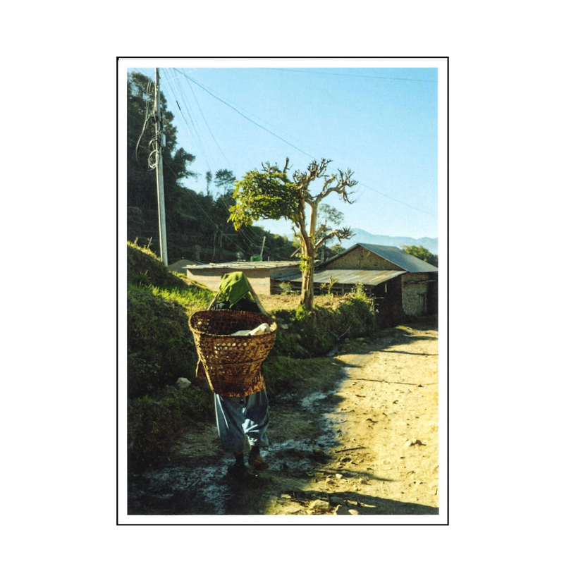 Morning Chorus Postcard image 1