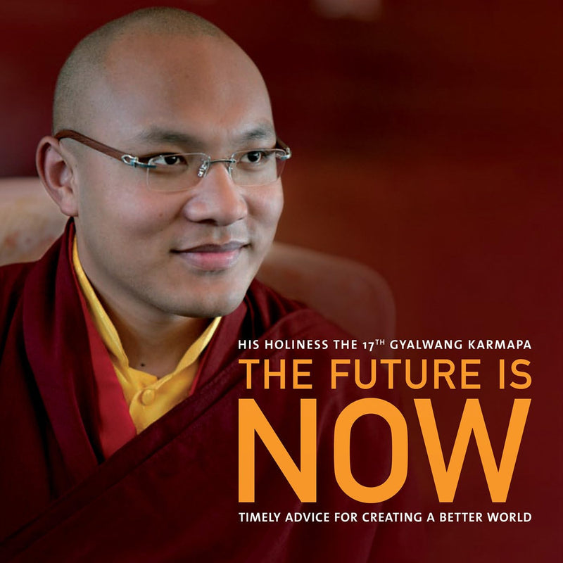 The Future Is Now: Timely Advice for Creating a Better World
By Gyalwang Karmapa 17th, Ogyen Trinley Dorje image 1
