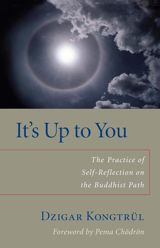 It's Up to You: The Practice of Self-Reflection on the Buddhist Path softcover
By Dzigar Kongtrul (Author), Matthew Ricard (Preface), Pema Chödrön (Foreword) - TIBET HOUSE US NYC