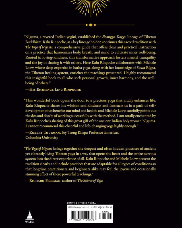 The Yoga of NIGUMA: Tibetan Practices for a Luminous Mind (PB) image 2