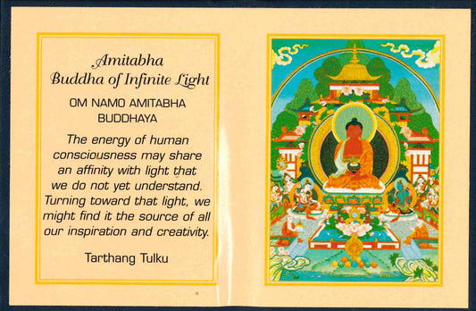 Amitabha Buddha of Infinite Light Folding Thanka - TIBET HOUSE US NYC