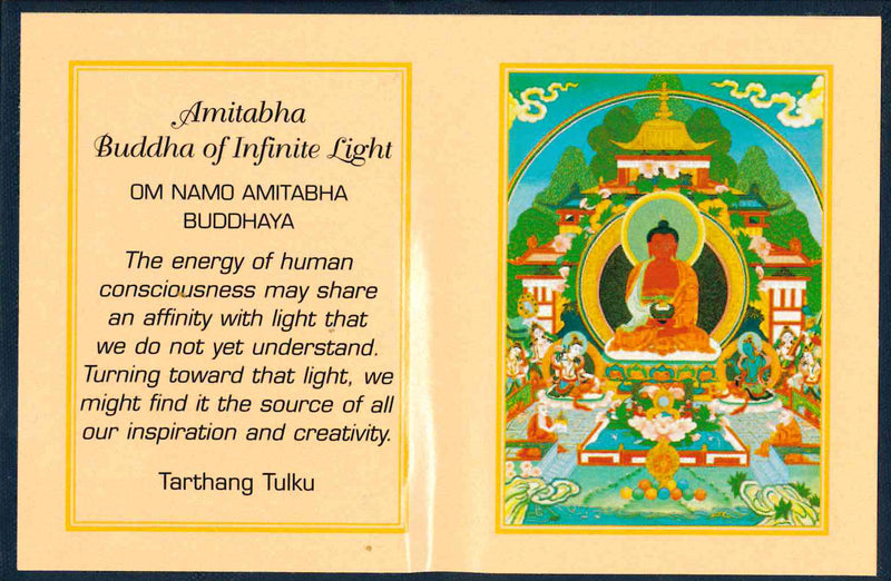 Amitabha Buddha of Infinite Light Folding Thanka image 1