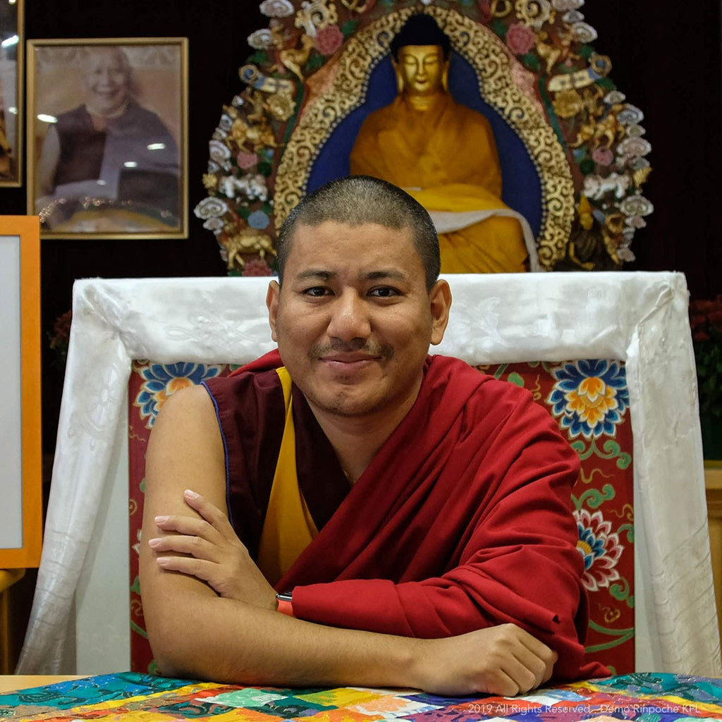 Rebirth | with Demo Rinpoche
