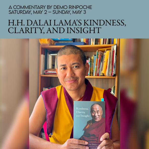 H.H. Dalai Lama's Kindness, Clarity, and Insight | a Commentary by Demo Rinpoche