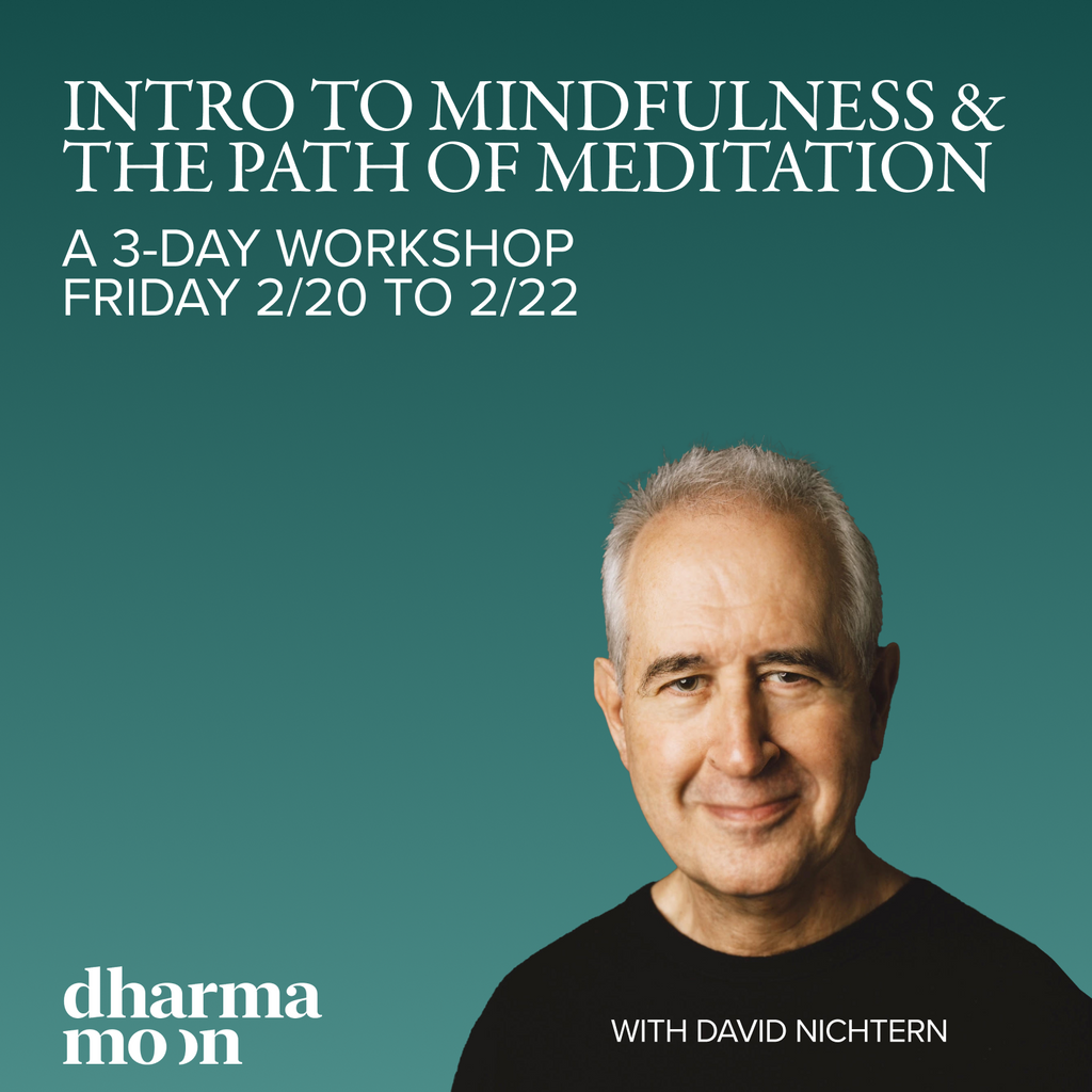 Intro to Mindfulness & The Path of Meditation | with David Nichtern