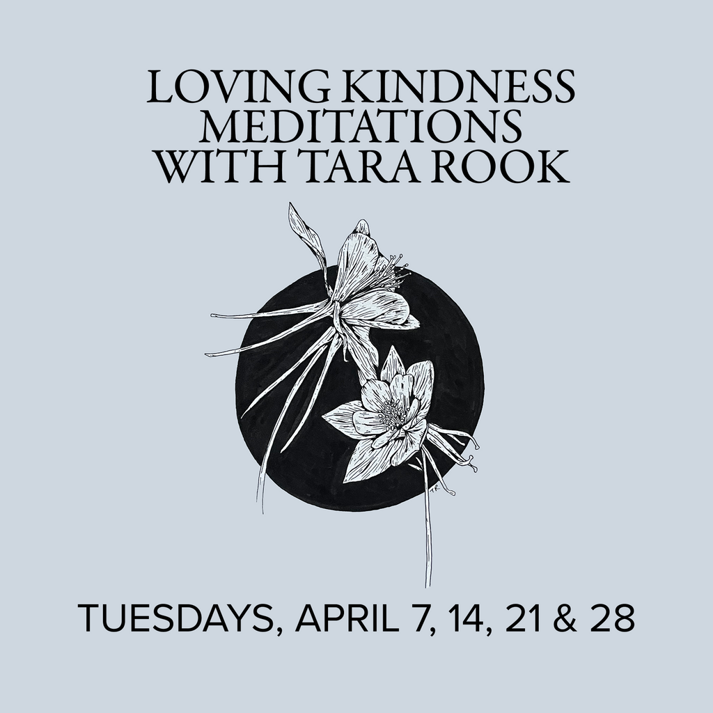 Intro to Meditation: Loving Kindness Meditations | with Tara Rook