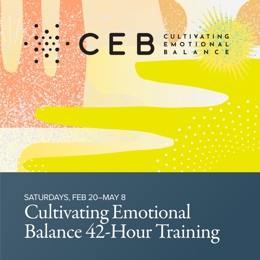 Cultivating Emotional Balance: 42-Hour Training | with Michael Lobsang Tenpa