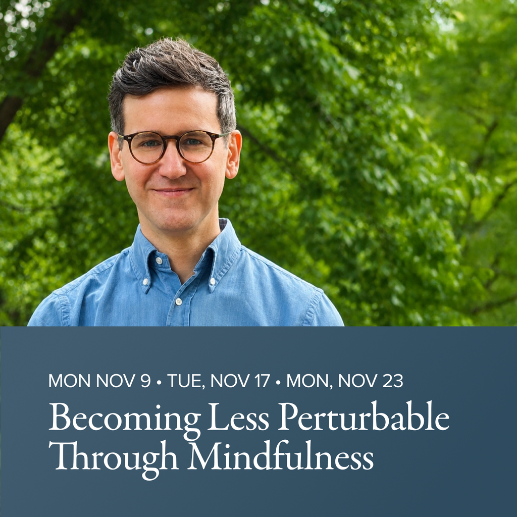 Becoming Less Perturbable Through Mindfulness | with Nick Shopa