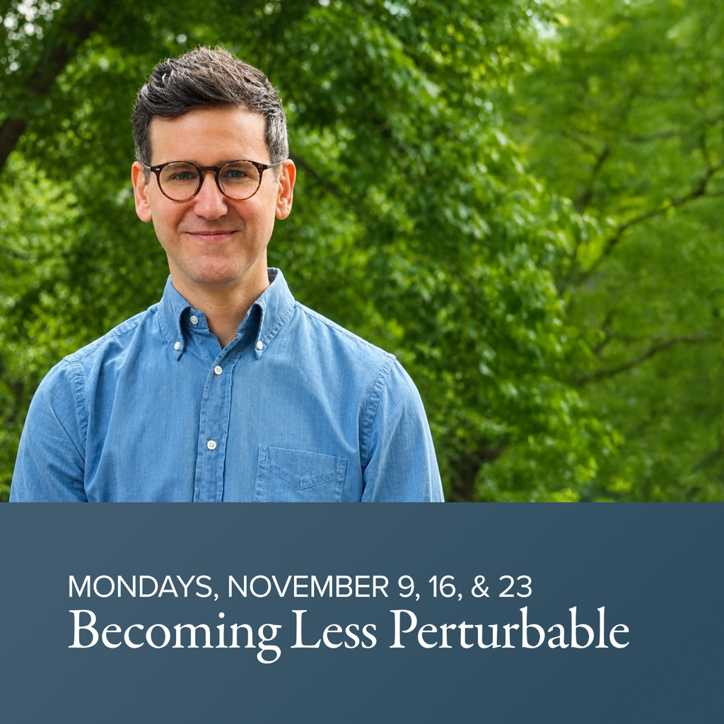 Becoming Less Perturbable Through Mindfulness | with Nick Shopa