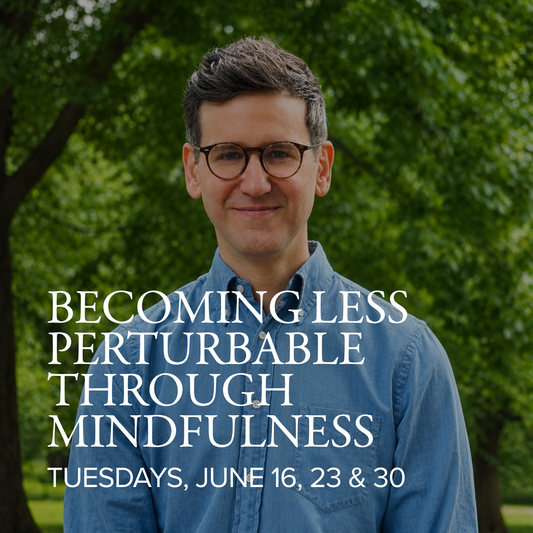 Becoming Less Perturbable Through Mindfulness | with Nick Shopa - TIBET HOUSE US NYC