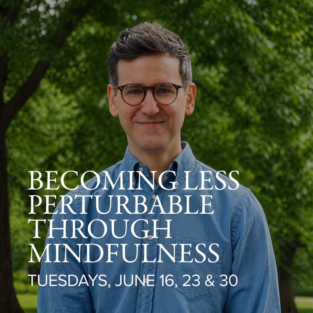 Becoming Less Perturbable Through Mindfulness | with Nick Shopa