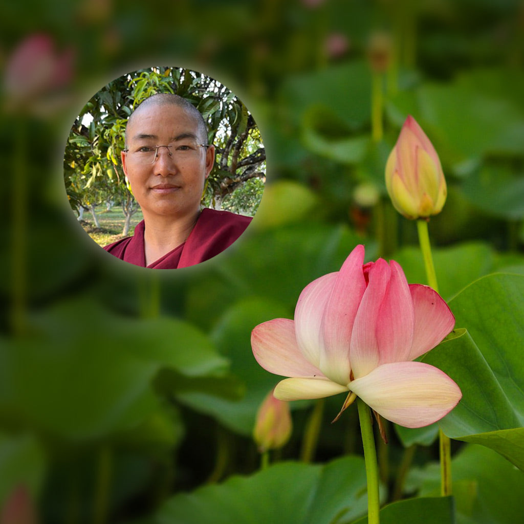 Dream Yoga Daylong Retreat | with Ani Choyang