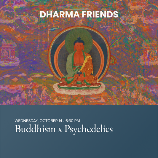 DHARMA FRIENDS: Buddhism x Psychedelics