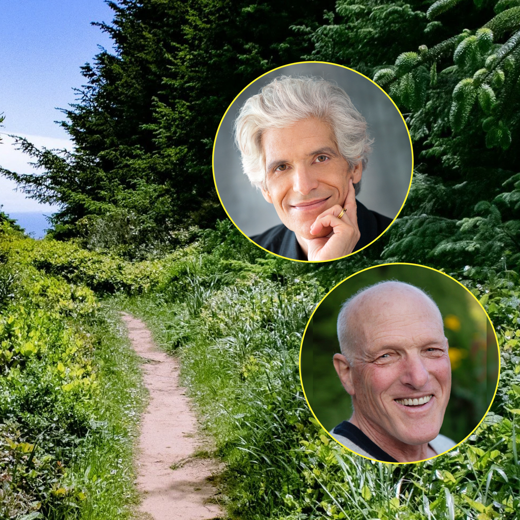 Breaking Free of Patriarchy: A Daylong Retreat for Men | with Gregory Kramer and Joe Loizzo