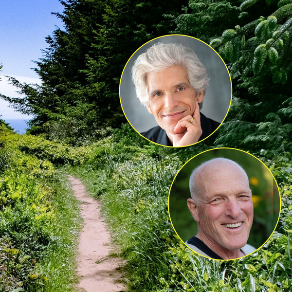Breaking Free of Patriarchy: A Daylong Retreat for Men | with Gregory Kramer and Joe Loizzo