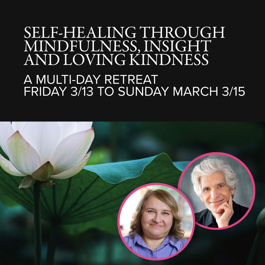 Self-Healing Through Mindfulness, Insight and Loving Kindness Retreat | With Joe Loizzo and Sharon Salzberg