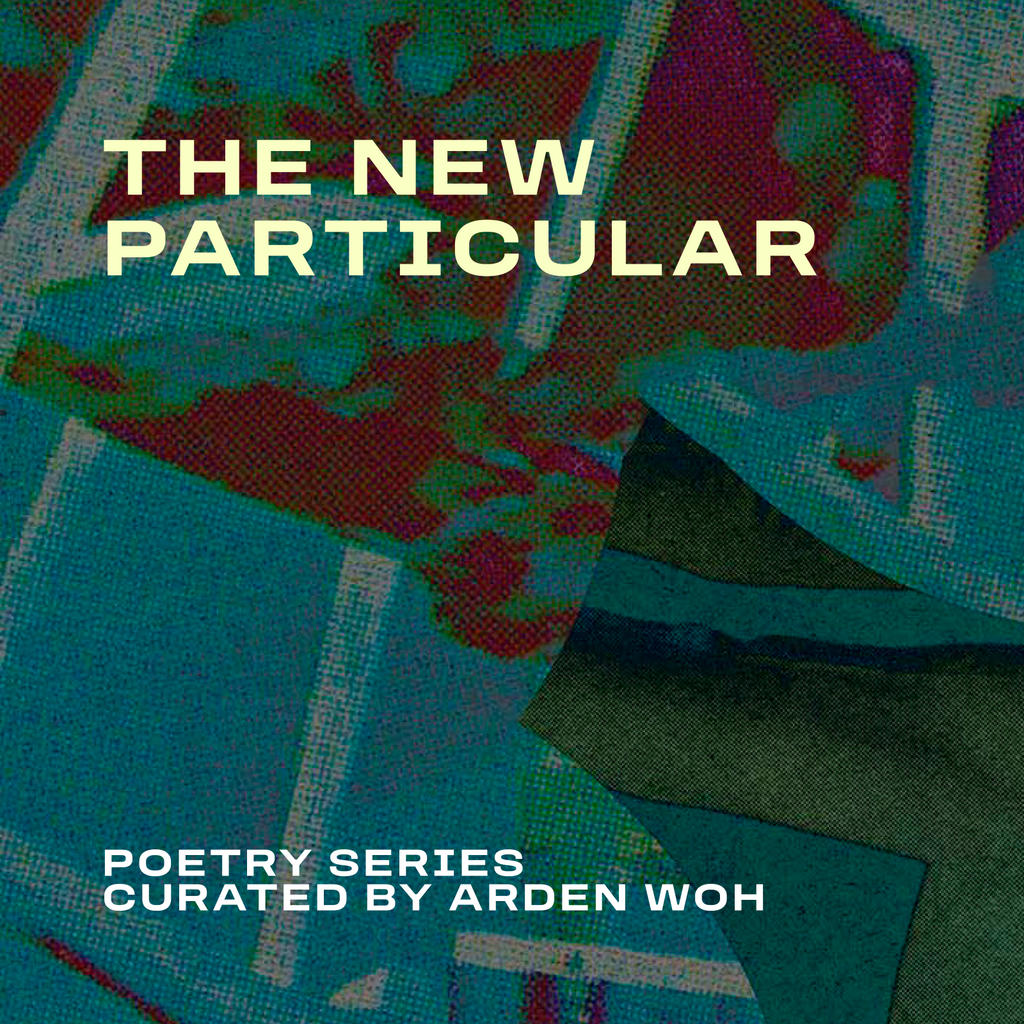 The New Particular | Poetry Series Curated By Arden Wohl | September