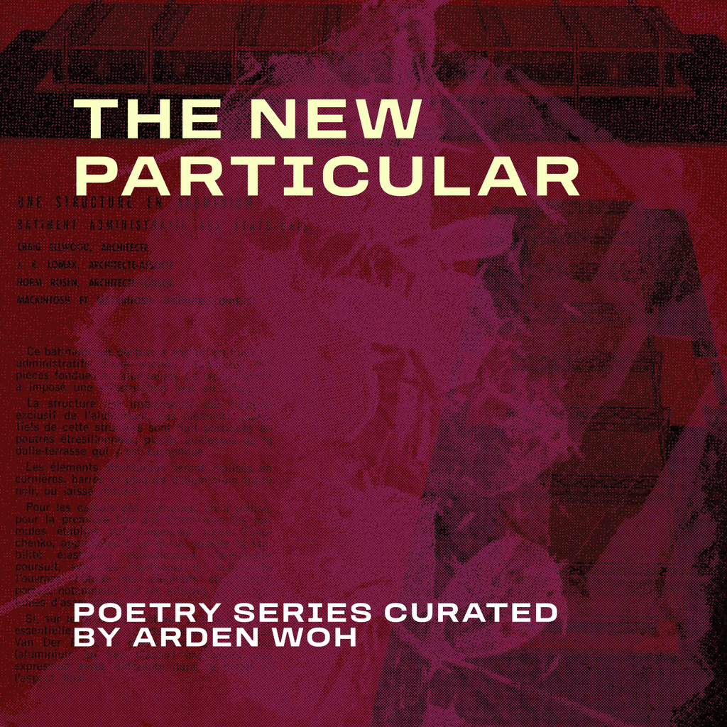 The New Particular | Poetry Series Curated By Arden Wohl | October