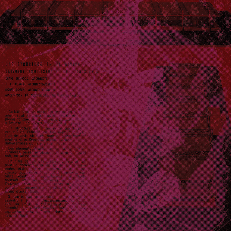 The New Particular | Music, Poetry and Prose Reading Series Curated By Arden Wohl | October