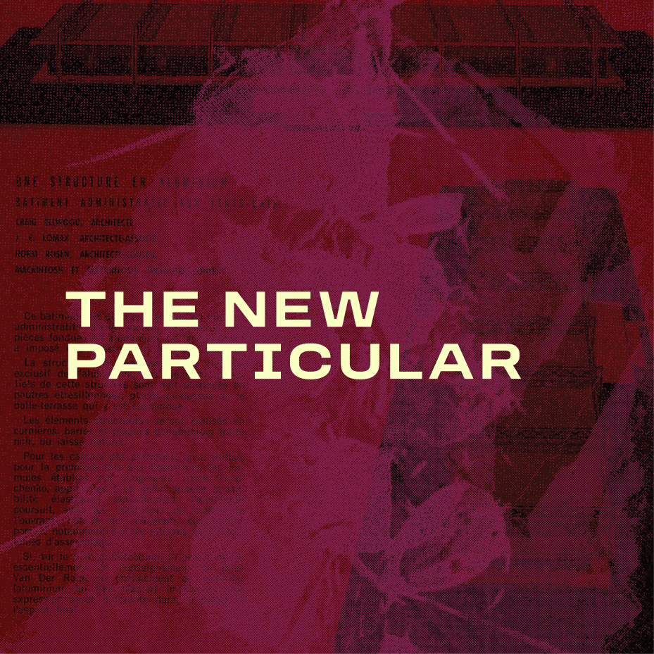 The New Particular | Music, Poetry and Prose Reading Series Curated By Arden Wohl | October