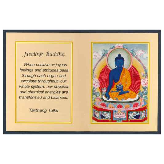 Healing Buddha Folding Thanka - TIBET HOUSE US NYC