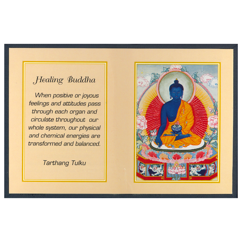 Healing Buddha Folding Thanka image 1