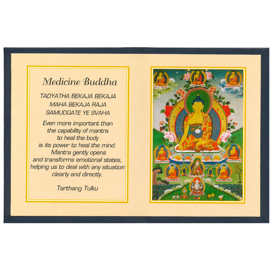 Medicine Buddha Folding Thanka - TIBET HOUSE US NYC