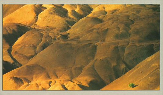 Barren Landscape - Ladakh Card - TIBET HOUSE US NYC