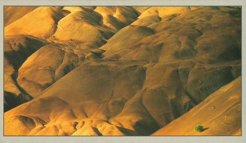 Barren Landscape - Ladakh Card image 1