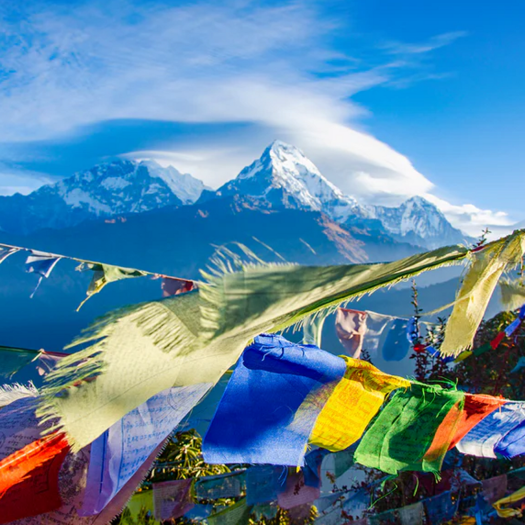 November | Daily Lunchtime Meditation With Annie Bien, Tony Pham and Nick Shopa