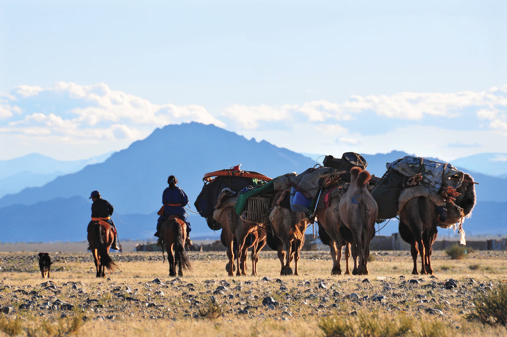 Buddhism and Nomads Along the Caravan Road | with Saglar Bougdaeva
