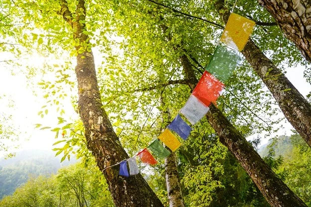 Practical EcoDharma: Soothing, Seeing, Supporting with Michael Lobsang Tenpa